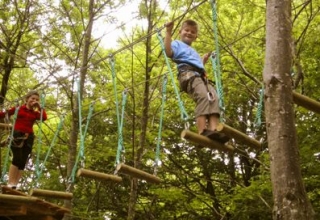 Parcours dans les arbres